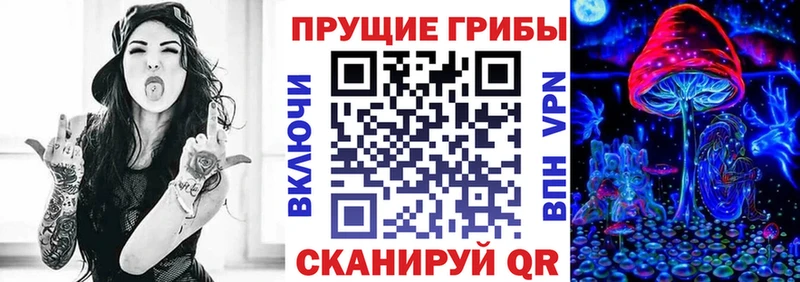 Галлюциногенные грибы Psilocybe  Нарьян-Мар 