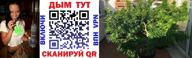 МЕГА вход  продажа наркотиков  Нарьян-Мар  Бошки марихуана индика 